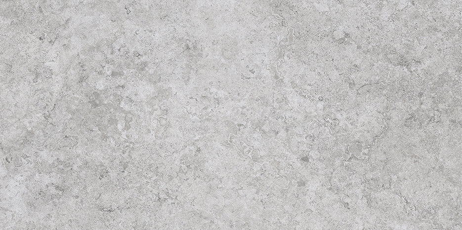 EVOLUTION GRIS 29,6 x 59,4