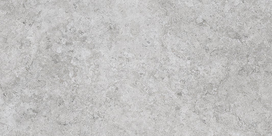 EVOLUTION GRIS 29,6 x 59,4