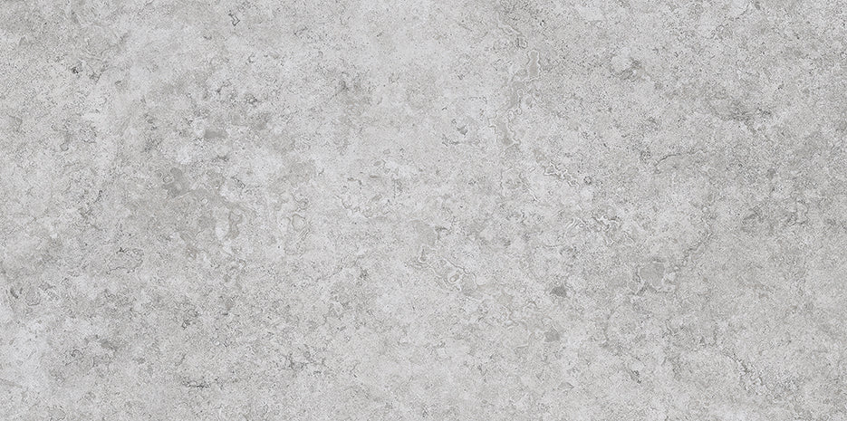 EVOLUTION 4490 GRIS COD