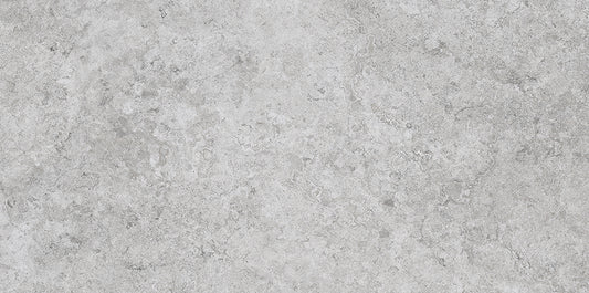 EVOLUTION 4490 GRIS COD