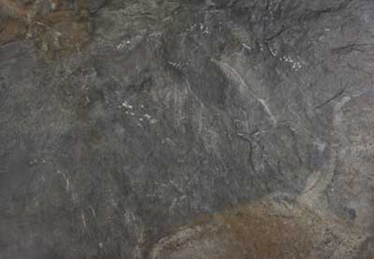 HIMALAYA 465 DARK COD