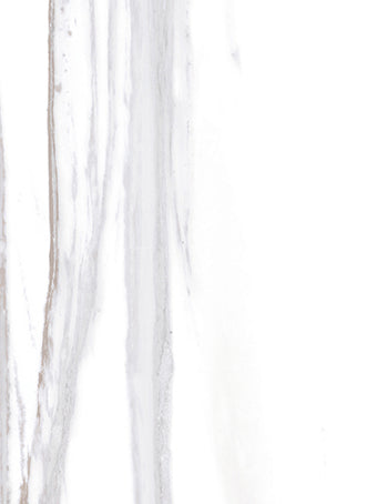 MAJESTIC GRIS 25 x 33,3