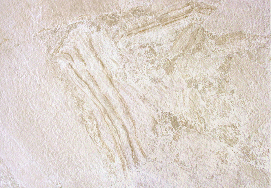 PERUGIA 465 BEIGE COD