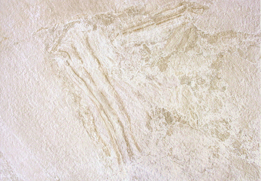 PERUGIA 465 BEIGE COD
