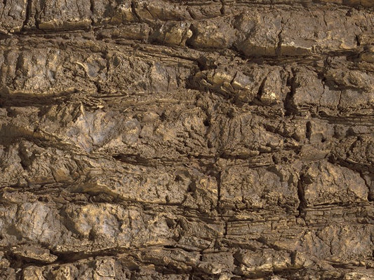 Palm Wood