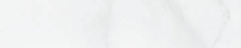 TRIM 25 NOVUM ST. BLANCO